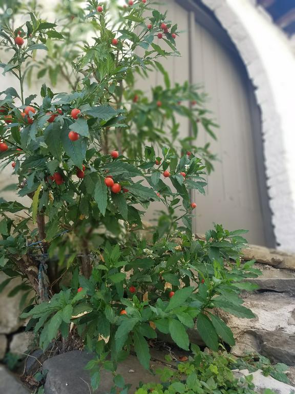 Lori'S Traditional House Gjirokaster Luaran gambar
